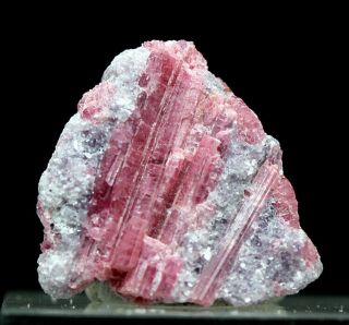 Pink Tourmaline Rubellite Lepidolite Crystal Cluster Mineral Specimen California