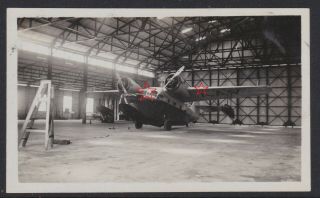 Old Photo Of A Grumman Goose Seaplane Vh Aav In Hangar At Darwin Australia C1938