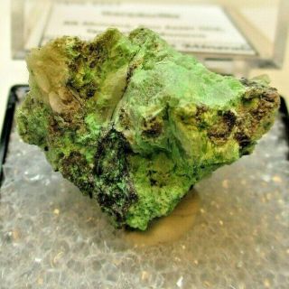 4957 Gersdorfite Bou Azzer Morocco Thumbnail Rare Mineral Specimen