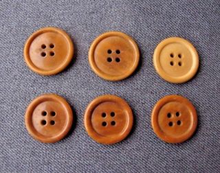 6 Vintage Assorted Tagua Nut Buttons