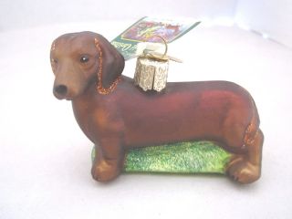 Dachshund Old World Christmas Blown Glass Wiener Small Dog Breed Ornament