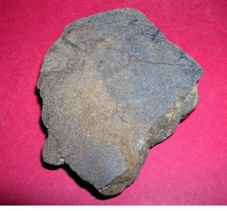 Al Haggounia 001 Meteorite: 60.  5 Gram Polished End Cut