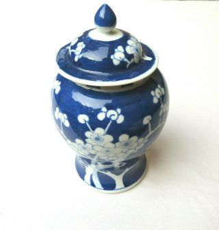 Blue And White Ginger Jar Tea Caddy Hand Painted Floral 9.  5 "
