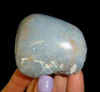 Dino: Angelite Crystal Polished Nodule - 130 G - Lapidary Rough Or Display