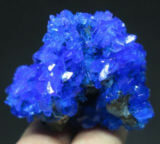 45mm 1oz Blue Chalcanthite Crystal Cluster Mineral Specimen