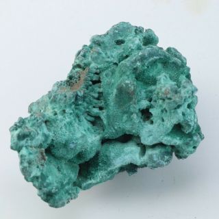 82g Rare Perfect Green Malachite Crystal Minerals Specimens A1472