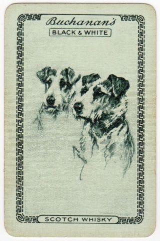 Playing Cards 1 Swap Card - Old Vintage Black & White Whisky Terrier Dogs Signed