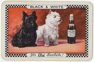 Playing Cards 1 Single Swap Card Old Vintage Black & White Whisky Terrier Dogs 2