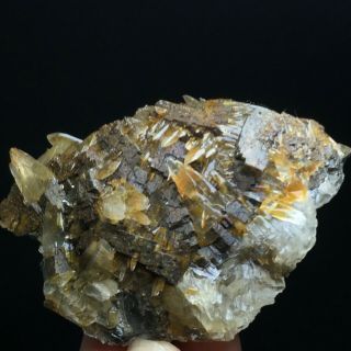 118gNatural Yellow Dog Tooth Wheels Calcite Crystal Cluster Mineral Specimen 3