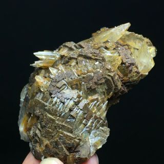 118gNatural Yellow Dog Tooth Wheels Calcite Crystal Cluster Mineral Specimen 4