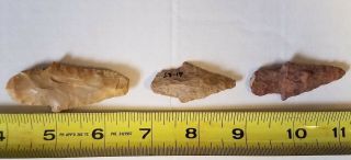 3 100 Authentic Archaic Indian Arrowheads From The Wolf Fam.  Coll.  Set: 21