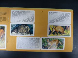 1960 ' S BROOKE BOND TEA CARD AFRICAN ANIMALS FULL SET 48/48 IN ALBUM 4