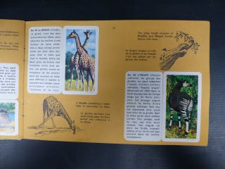 1960 ' S BROOKE BOND TEA CARD AFRICAN ANIMALS FULL SET 48/48 IN ALBUM 5