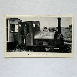 The Lincolnshire Coast Light Railway Jurassic Postcard (p435)