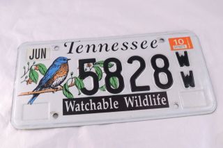 Tennessee Watchable Wildlife License Plate Exp 2010 5828ww Bluebird Bird Watcher