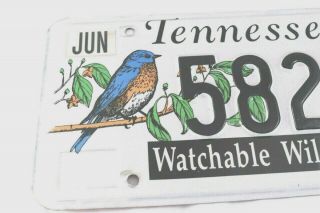 Tennessee Watchable Wildlife License Plate Exp 2010 5828WW Bluebird Bird Watcher 2