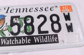 Tennessee Watchable Wildlife License Plate Exp 2010 5828WW Bluebird Bird Watcher 3