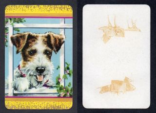 800.  1155 Vintage Coles Swap Card - Poor/fair - Terrier With Yellow Borders