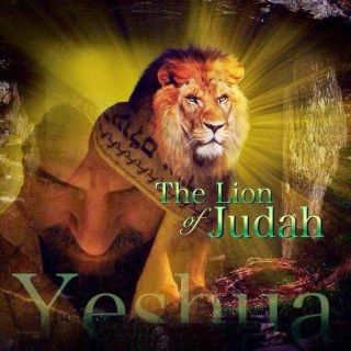 Jerusalem " The Lion Of Judah " Yesuha Magnet 3 " X 3 "