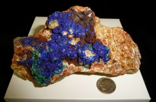 Dino: Lg.  Natural Azurite Malachite Crystal Specimen,  Mexico - 382 Gr.