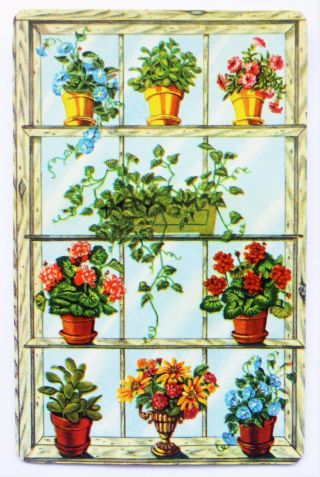 Vintage Swap Card.  Flower Pots In Window.  Gilt Edge Arrco C1940s - 60s.