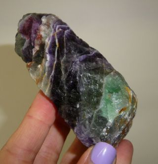 Dino: Purple & Green Fluorite Crystal Specimen,  Mexico - 186 Grams