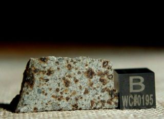 Nwa 6287 Ll5 Chondrite Meteorite 5.  9 Gram Part Slice