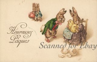 Vintage Chromolitho Postcard Easter Dressed Bunny Chicks (beatrix Potter Style)