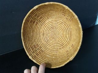 Antique Vintage 11 " X 3 1/2 " Native American Indian Basket Bowl Unknown Tribe