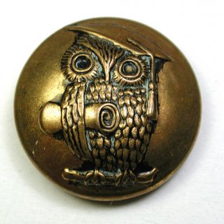 Vintage Brass Button Wise Old Owl Design - 7/8 "
