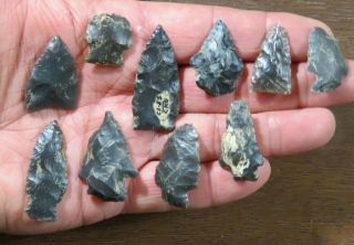 Group Of 10 Archaic - Woodland Points,  Knox Chert Eastern Tennessee Area X Beutell
