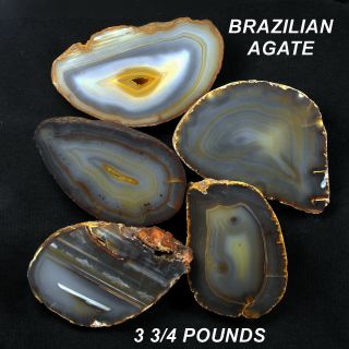 Brazilian Agate Great Assortment.  Rough Cut Halves 3 3/4 Pounds