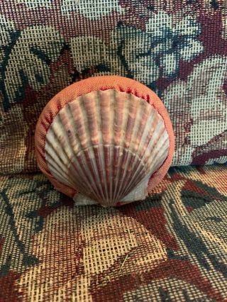 Vintage Needle Or Pin Cushion Real Seashell On Both Sides