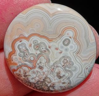 Mw: Crazy Lace Agate - Mexico - 30mm Round Cab - 32.  8ct