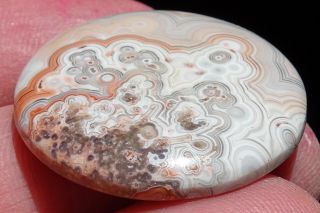 Mw: CRAZY LACE AGATE - Mexico - 30mm Round Cab - 32.  8ct 2