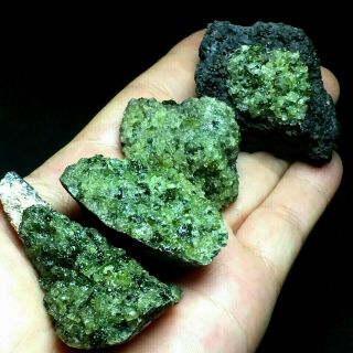 131g4pcs Natural Green Olivine Volcanic Rock And Mineral Specimens/ Hebei Provin