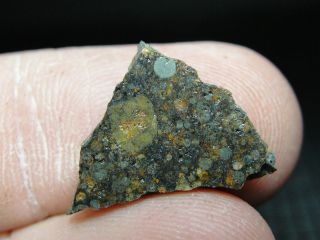 Nwa 10442 Official Meteorite - H3.  9 Type 3 Chondrite - G640 - 0089 - 1.  29g W/coa