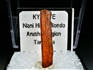 Minerals : Orange Kyanite Crystal From Tanzania