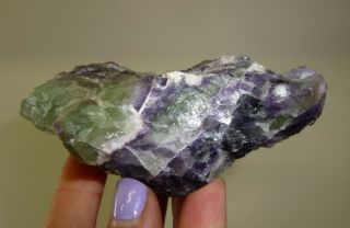 Dino: Purple & Green Fluorite Crystal Specimen,  Mexico - 214 Grams