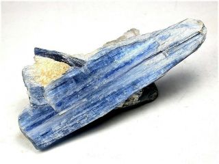 Minerals : Blue Kyanite Crystal Group On Quartz From Brazil
