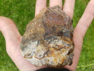 Smoky quartz crystal cluster central Ohio flint region 002 2
