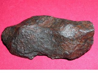 Canyon Diablo Meteorite - 24.  6 Gram Individual