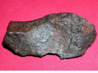 Canyon Diablo meteorite - 24.  6 gram individual 2