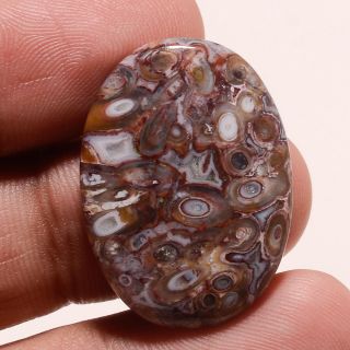 Designer Russian Crazy Lace Agate Oval Gemstone Loose Untreated Cab