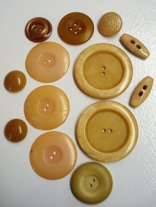 13 Vtg Celluloid/bakelite/plastic Buttons Butterscotch - Caramel Tan - Varied Sizes