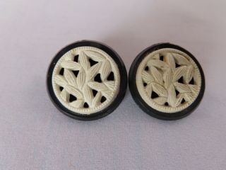 Vintage Set Of 2 Piece Black And White Leaf Celluloid Buttons