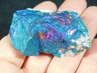 An Intense BLUE Colored Peacock Copper Chalcopyrite or Peacock Ore 94.  5gr 5