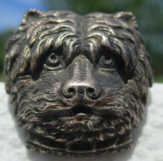 1940s French White " Cute Hairy Dog " 7/8 " Chunky Vintage Antique Picture Button