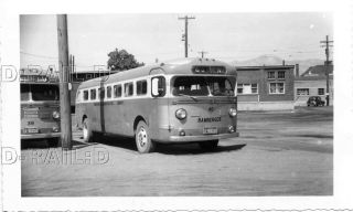 9d438 Rp 1951 Bamberger Railroad Transportation Co Gm Bus 39 Ogden Ut