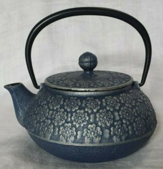 Tetsubin Teapot Hearth Kettle Japan Blue Leaf Strainer Cast Metal Iron Tea Pot